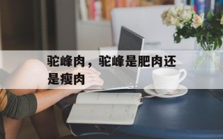 驼峰肉，驼峰是肥肉还是瘦肉