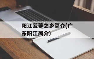 阳江菠萝之乡简介(广东阳江简介)