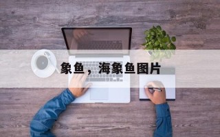象鱼，海象鱼图片