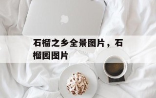 石榴之乡全景图片，石榴园图片