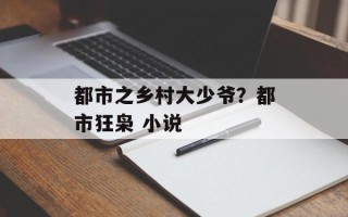 都市之乡村大少爷？都市狂枭 小说