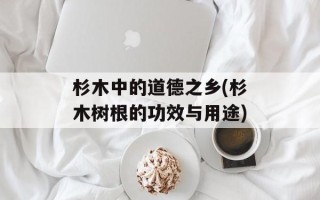 杉木中的道德之乡(杉木树根的功效与用途)