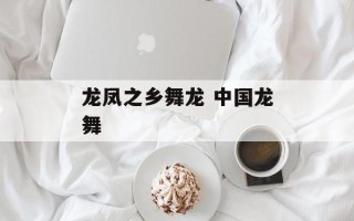 龙凤之乡舞龙 中国龙舞