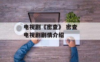 电视剧《密查》 密查电视剧剧情介绍