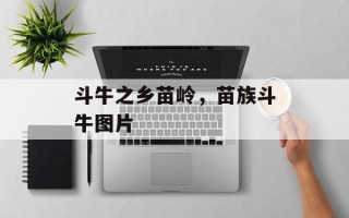 斗牛之乡苗岭，苗族斗牛图片