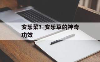 安乐菜？安乐草的神奇功效