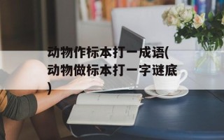 动物作标本打一成语(动物做标本打一字谜底)