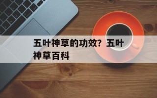 五叶神草的功效？五叶神草百科