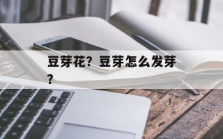 豆芽花？豆芽怎么发芽？
