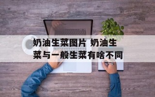 奶油生菜图片 奶油生菜与一般生菜有啥不同