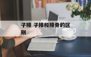 子排 子排和排骨的区别