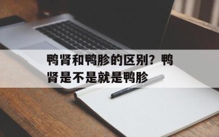 鸭肾和鸭胗的区别？鸭肾是不是就是鸭胗