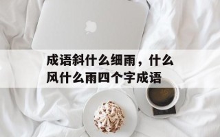 成语斜什么细雨，什么风什么雨四个字成语