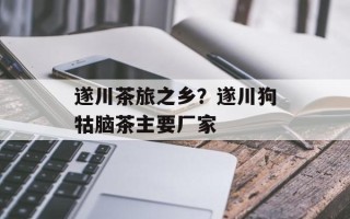 遂川茶旅之乡？遂川狗牯脑茶主要厂家