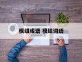 模组成语 模组词语