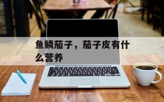 鱼鳞茄子，茄子皮有什么营养