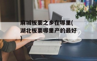麻城板栗之乡在哪里(湖北板栗哪里产的最好)