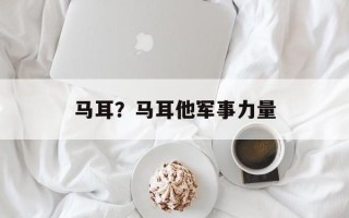 马耳？马耳他军事力量