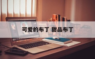 可爱的布丁 甜品布丁