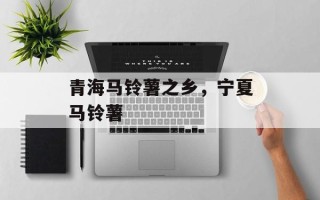 青海马铃薯之乡，宁夏马铃薯