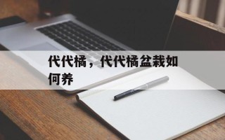 代代橘，代代橘盆栽如何养