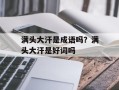 满头大汗是成语吗？满头大汗是好词吗
