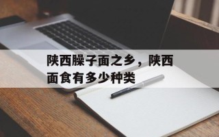 陕西臊子面之乡，陕西面食有多少种类