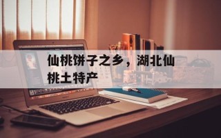 仙桃饼子之乡，湖北仙桃土特产