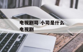 电视剧司 小司是什么电视剧