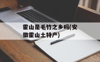 霍山是毛竹之乡吗(安徽霍山土特产)
