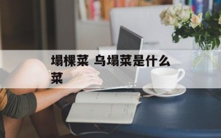 塌棵菜 乌塌菜是什么菜