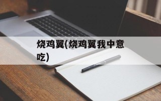 烧鸡翼(烧鸡翼我中意吃)