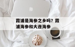霞浦是海参之乡吗？霞浦海参和大连海参