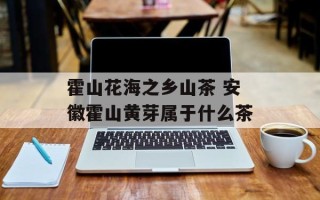 霍山花海之乡山茶 安徽霍山黄芽属于什么茶
