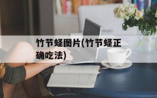 竹节蛏图片(竹节蛏正确吃法)