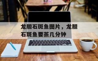 龙胆石斑鱼图片，龙胆石斑鱼要蒸几分钟