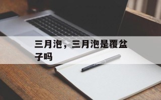 三月泡，三月泡是覆盆子吗