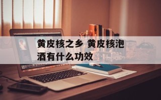 黄皮核之乡 黄皮核泡酒有什么功效