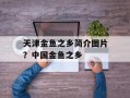 天津金鱼之乡简介图片？中国金鱼之乡