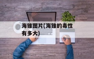 海锥图片(海锥的毒性有多大)