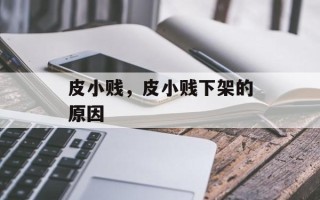 皮小贱，皮小贱下架的原因