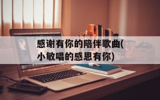 感谢有你的陪伴歌曲(小敏唱的感恩有你)