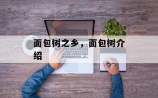 面包树之乡，面包树介绍