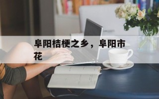阜阳桔梗之乡，阜阳市花