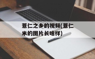 薏仁之乡的视频(薏仁米的图片长啥样)