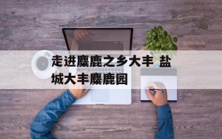走进麋鹿之乡大丰 盐城大丰麋鹿园