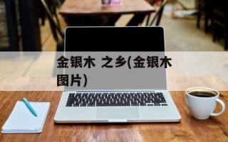 金银木 之乡(金银木图片)