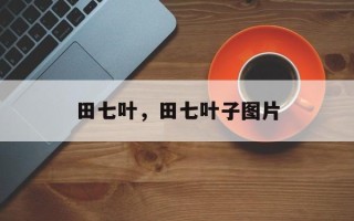 田七叶，田七叶子图片