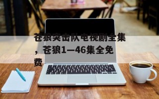 苍狼突击队电视剧全集，苍狼1—46集全免费