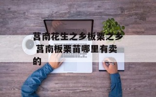 莒南花生之乡板栗之乡 莒南板栗苗哪里有卖的